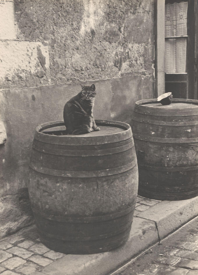 A cat sits on a barrel.