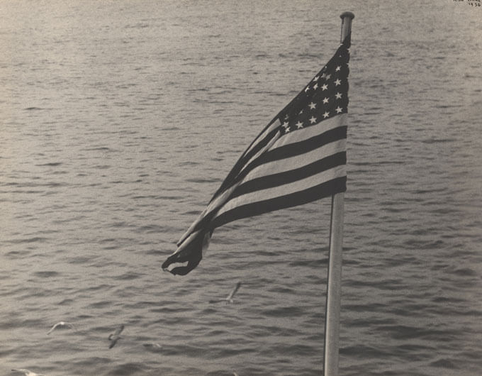 Birds fly around the American flag.