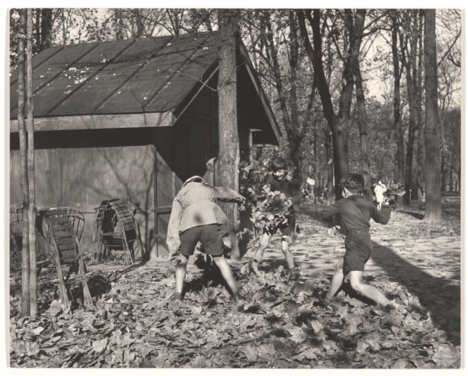 Kids play in leaves.